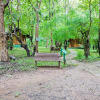 Отель Jungle Lodges And Resorts- Sakrebyle Elephant Camp, фото 3