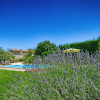 Отель Villa Benka, Istrian stone house, фото 8