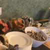 Meal