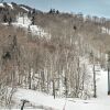 Отель Vermont Ski Chalet ~ 5 Mi to Magic Mountain, фото 1