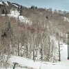 Отель Vermont Ski Chalet ~ 5 Mi to Magic Mountain в Уиндеме