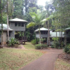 Отель Ferntree Rainforest Lodge, фото 10