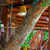 Отель Lake View Tree House, фото 31