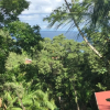 Отель Jungle Reef Inn, фото 20