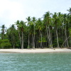 Отель El Sano Banano Beachside Hotel, фото 19