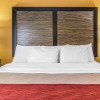 Отель Comfort Inn, фото 17