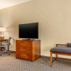 Отель Comfort Inn & Suites, фото 2