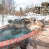 Отель Terracehouse by Snowmass Vacations, фото 15