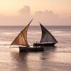 Отель Park Hyatt Zanzibar, фото 47