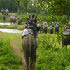 Отель Tharu Home - Resort, фото 1