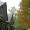 Отель Pension Maple Leaf, фото 15