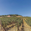 Отель Casale Pola, фото 13