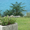 Отель Sea View - Cosy & Comfortable - A3 Boris, фото 16