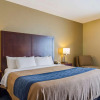 Отель Comfort Inn & Suites Sea-Tac Airport, фото 30