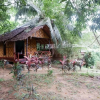 Отель Phayam Garden View, фото 5