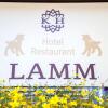 Отель Restaurant Lamm, фото 1