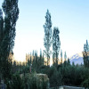 Отель Goba Guest House, фото 30