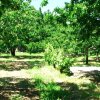 Отель Casa Rural Mirador Los Cotos, фото 17