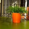 Отель Apartamento Rulosol 2, фото 5