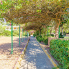 Отель FINCA SON POU - Villa for 12 people in Palma de Mallorca / Sant Jordi., фото 13