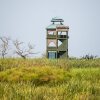 Отель Little Okavango Camp Serengeti в Бунда