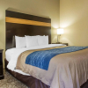 Отель Comfort Inn & Suites at Stone Mountain, фото 19