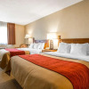 Отель Comfort Inn, фото 4