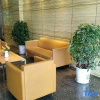 Отель Yongsheng   Hotel  Gaoan, фото 2