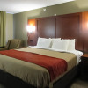 Отель Comfort Inn & Suites, фото 18