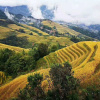 Отель Longji Terraces Banshan Homestay, фото 1