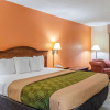 Отель Econo Lodge Inn & Suites, фото 6