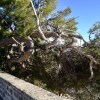 Отель Maison de village provençale, terrasse panoramique, Mont Ventoux, фото 12