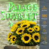 Отель Palace Sharlet, фото 10