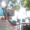 Отель Casa Tropicalia - Hostel, фото 2