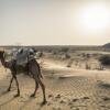 Отель Fort Side Jaisalmer, фото 16