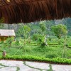 Отель Trang An Valley Bungalow, фото 12