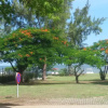 Отель Villa Salines, фото 15