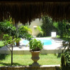 Отель Butterfly House, фото 5