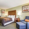 Отель Comfort Inn & Suites Black River Falls, фото 38