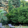 Отель Lemon Cottage House, фото 5