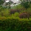 Отель Meru Mbega Lodge, фото 29