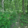 Отель Historic Cabin: Grill & Hiking Trail Access!, фото 18