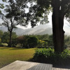 Отель Around The Tree Manor, фото 9