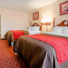Отель Quality Inn & Suites, фото 4