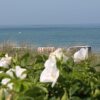 Отель Child-friendly Seaside Apartment in Wittenbeck, фото 13