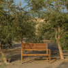Отель Wadi Sabarah Lodge, фото 16