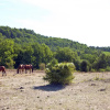 Отель Holiday Home Les Piboules - LLI150, фото 5