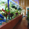 Отель Casa Lima Bed & Breakfast, фото 8