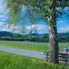 Отель Urlaub am Bauernhof Hans im Winkel, фото 11