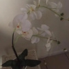 Отель Flat Capitania Varam Ap 3053, фото 23